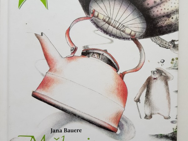 Mežlaumiņa Baigajā biezoknī