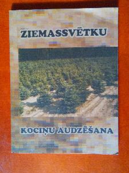 Ziemassvētku kociņu audzēšana