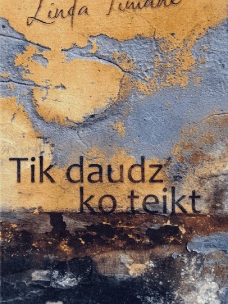 Tik daudz ko teikt