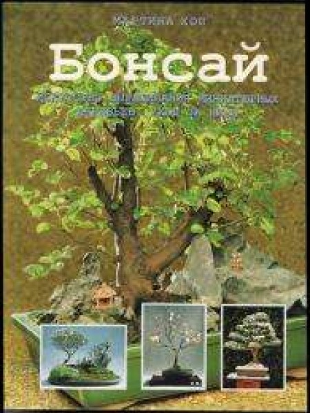 Бонсай