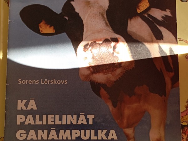 Kā palielināt ganāmpulka produktivitāti?