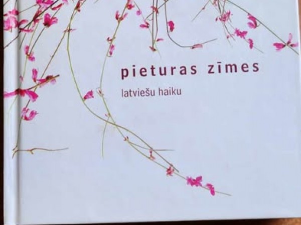 Pieturas zīmes