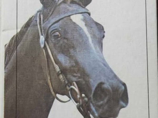 Отечественное коневодство