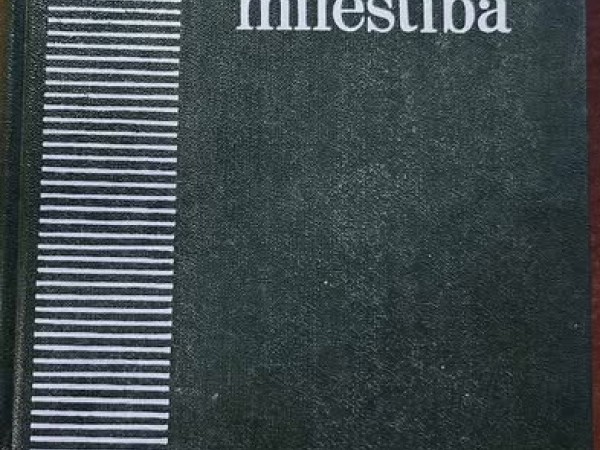 Pērtiķa mīlestība