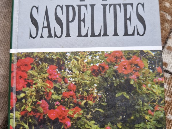 Pieaudžu saspēlītes