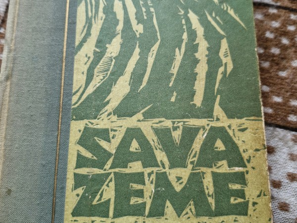 Sava zeme