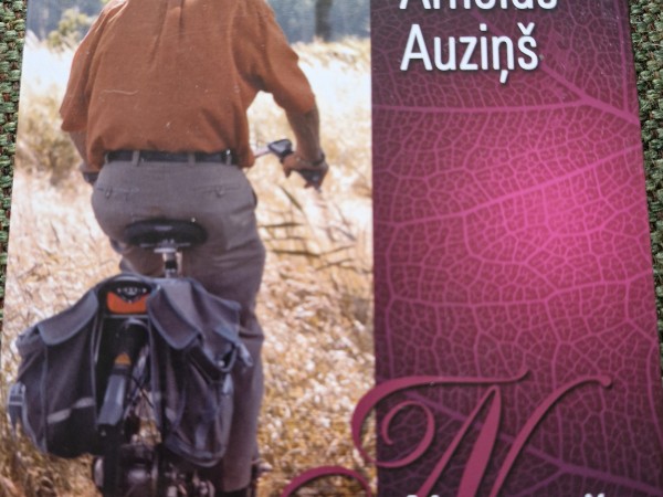 Nevīstošā saulespuķe