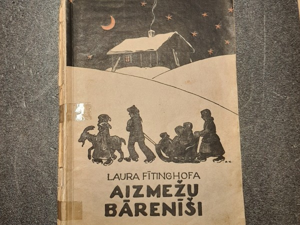 Aizmežu bārenīši