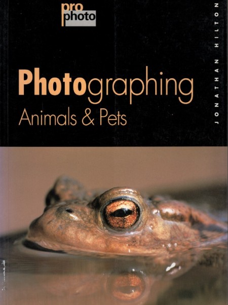 Photographing Animals & Pets