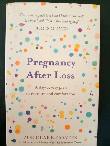 Pregnancy After Loss: A day-by-day to reassure comfort you