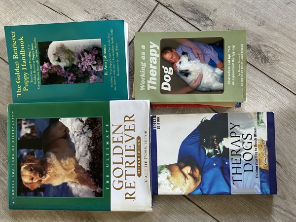 KOMPLEKTS-Terapijas Suņi