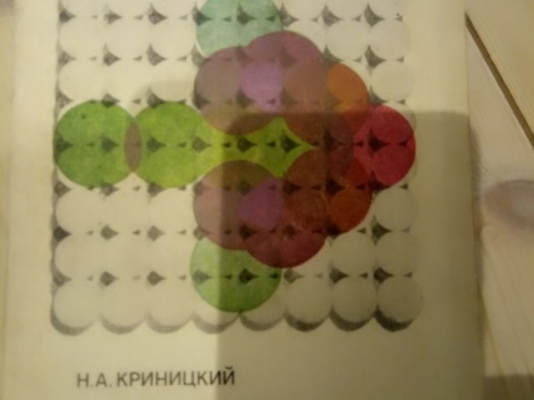 Алгоритмы и роботы