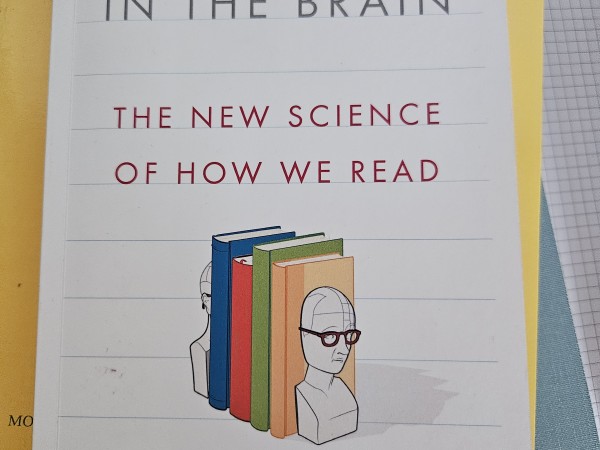 Reading in the brain
