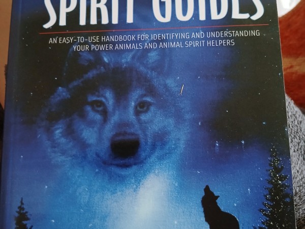 Animal spirit guides