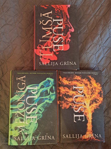 Tumšā Puse; Mežonīgā Puse; Zaudētā Puse