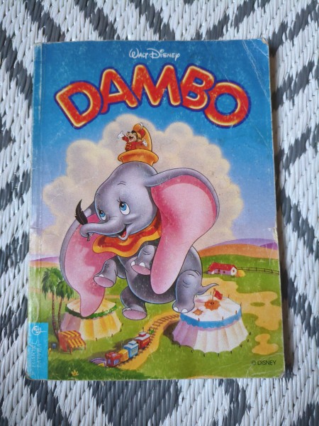 Dambo