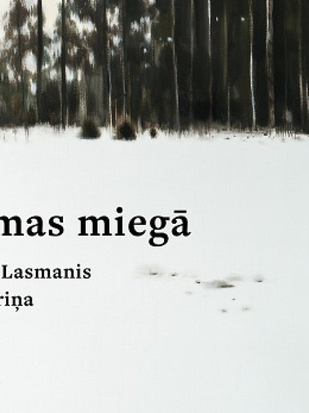 Ziemas miegā