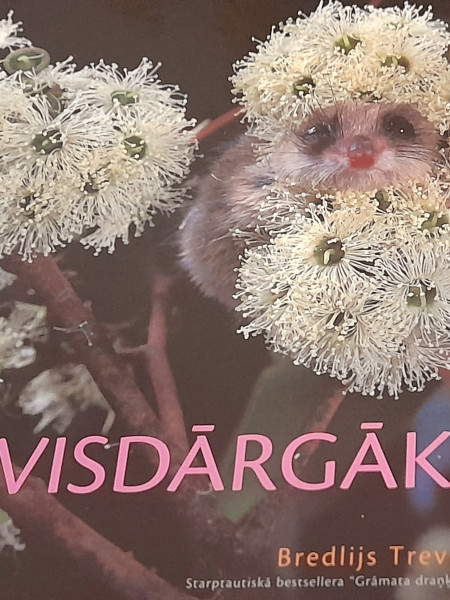 Visdārgākais