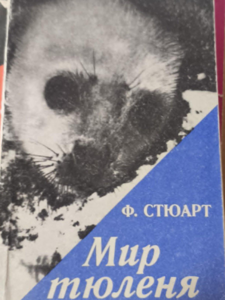 Мир тюленей