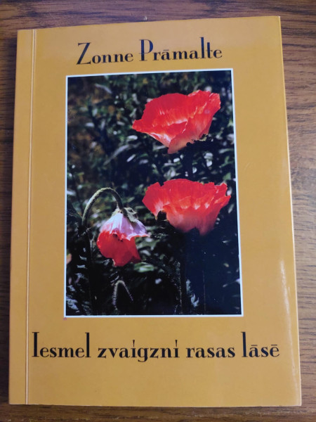 Iesmel zvaigzni rasas lāsē