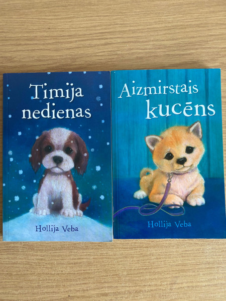 Timija nedienas, Aizmirstais kucēns