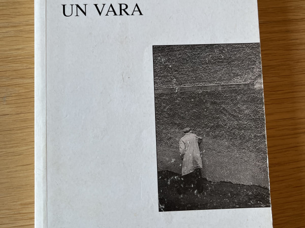 Masa un vara