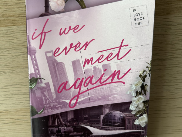 If We Ever Meet Again