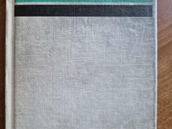 Russisch Deutsch Taschenworterbuch