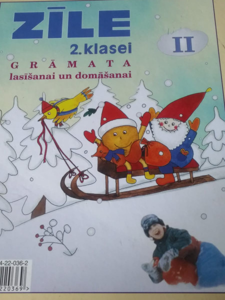 Zīle 2.klasei II Grāmata lasīšanai un domāšanai