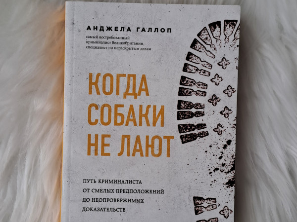 Когда собаки не лают