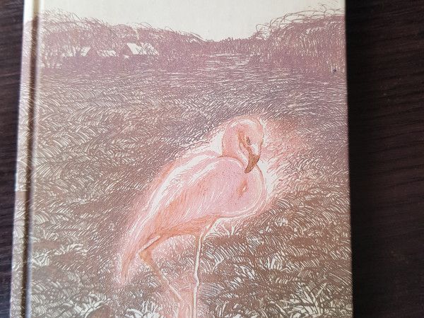 Flamingo Jēpis
