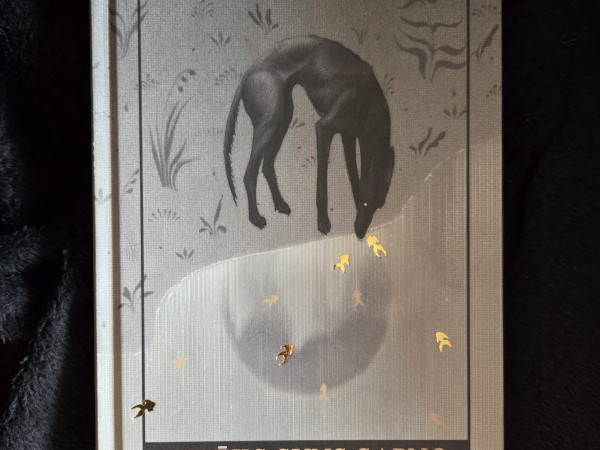 Pelēks Suns Sapņo Par Zelta Zivtiņām