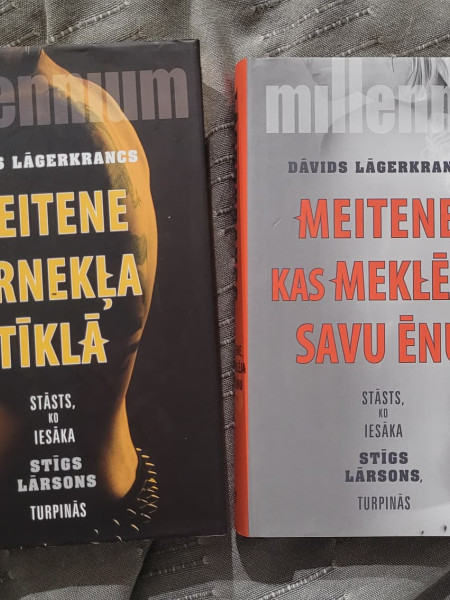 Meitene zirnekļa tīklā; Meitene, kas meklēja savu ēnu