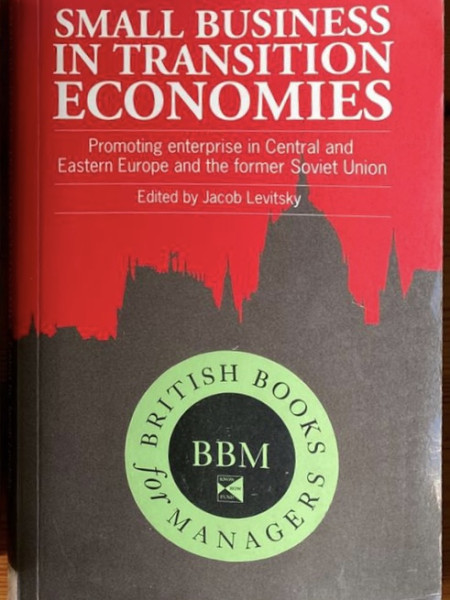 Small business in transition economies