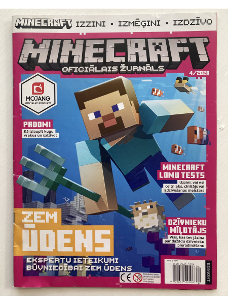 Minecraft 4/2020