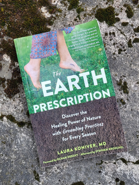 The Earth Prescription