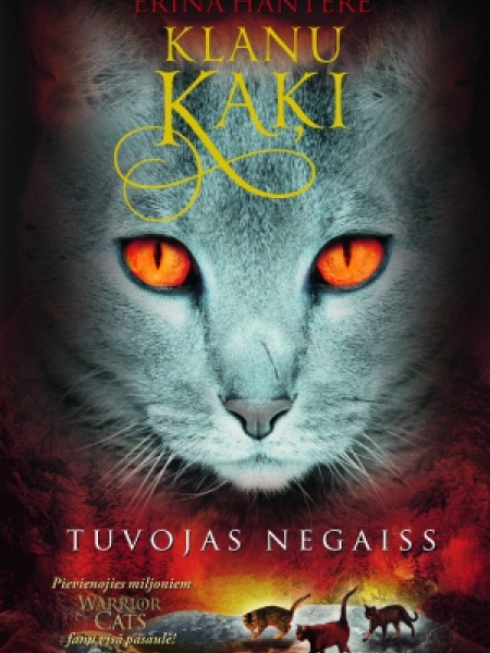 Klanu kaķi. Tuvojas negaiss