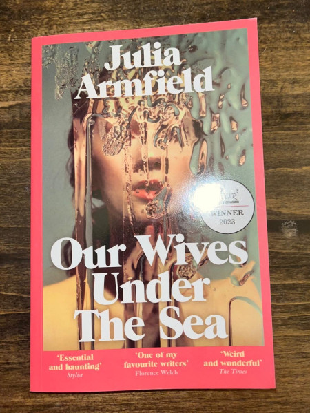 Our wifes under the sea