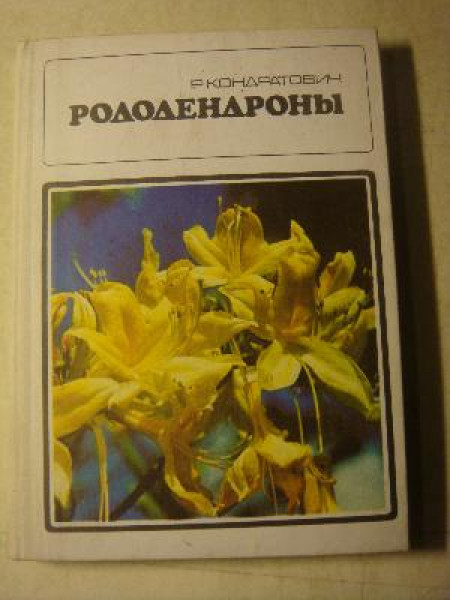 Рододендроны