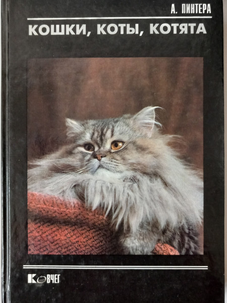 Кошки, коты, котята