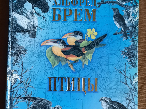 Птицы. Том 2