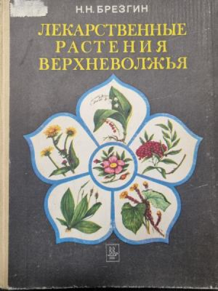 ЛЕКАРСТВЕННЫЕ РАСТЕНИЯ ВЕРХНЕВОЛЖЬЯ